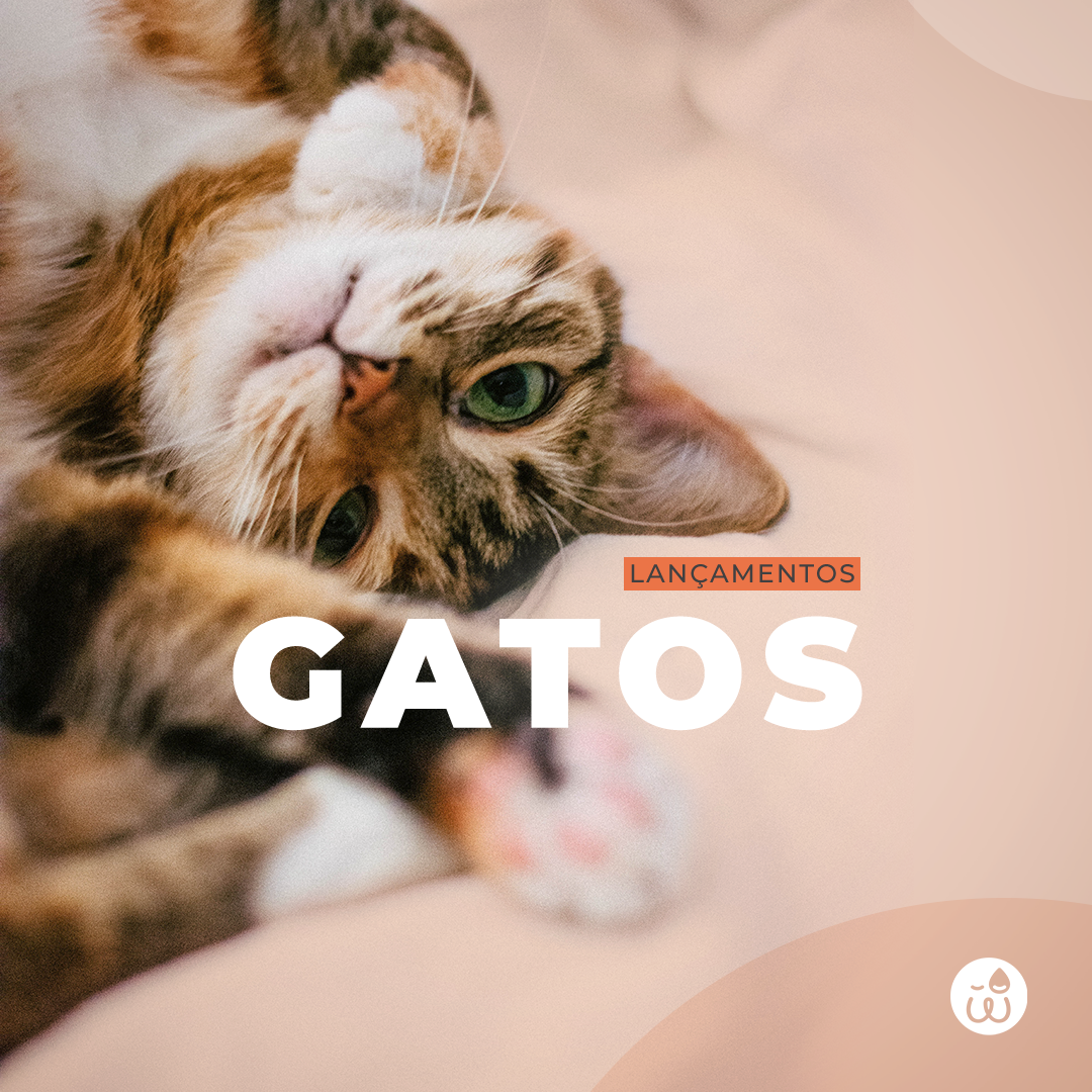 brincadeiras de gatos – Gatices